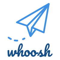 Paper Plane Logo